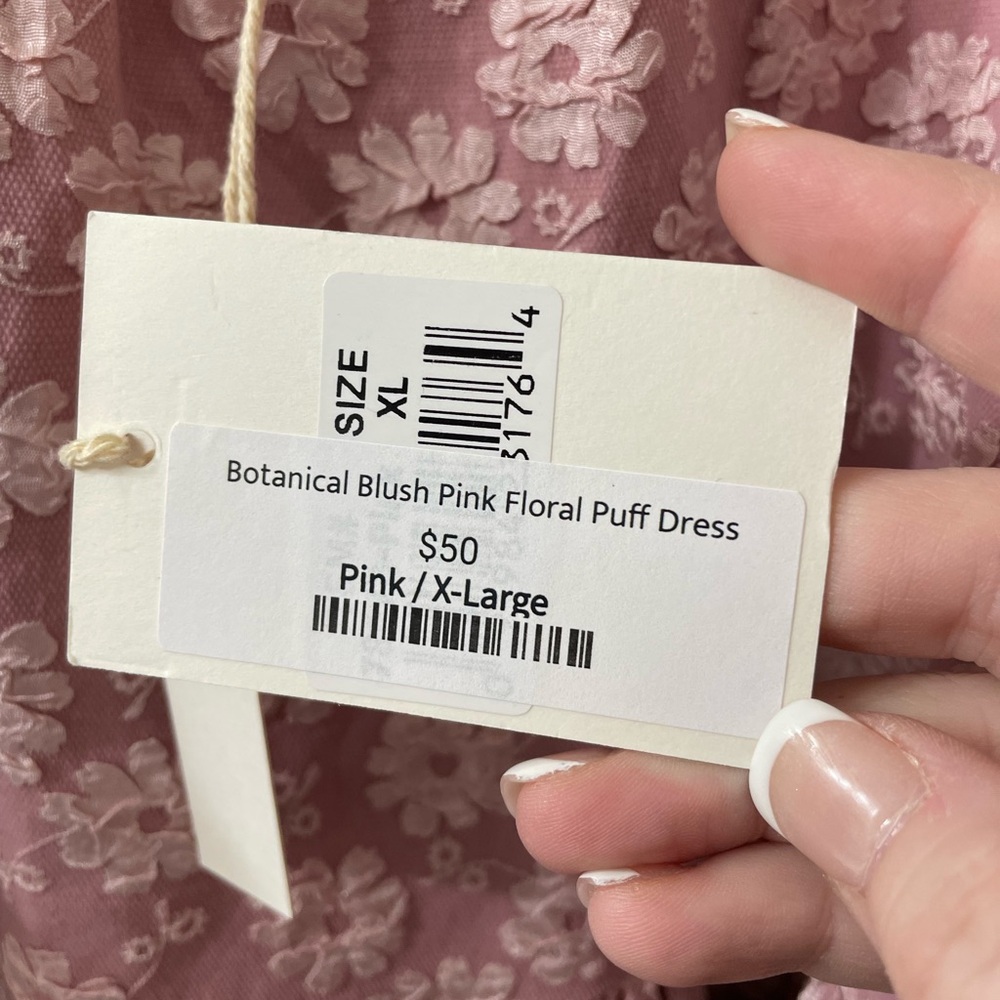 Grace & Emma NWT Botanical Blush Pink Floral Puff Sleeve Dress XL - Picture 6 of 16